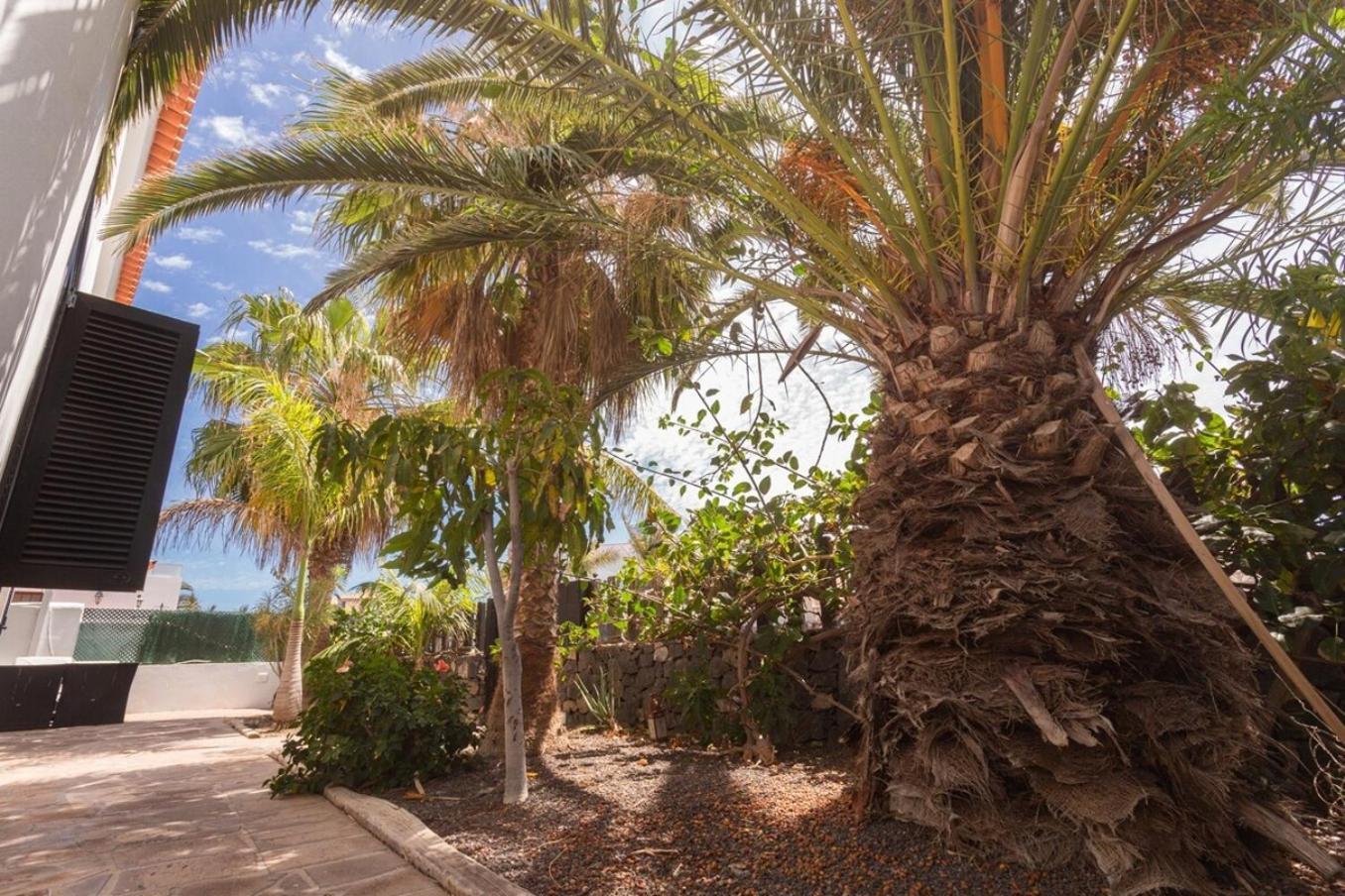 La Quinta - Wonderful 4 Bed Villa-Private Pool San Miguel de Abona Exterior foto